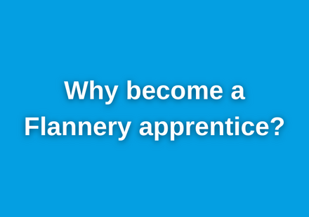 Flannery Apprenticeship Blog Post