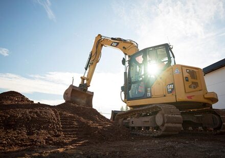 A Major Cat Investment